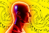 Brain Waves and Music,illustration