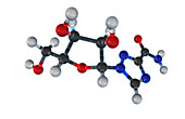 Ribavirin Molecular Model,illustration