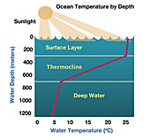 Ocean Temperature by Depth,illustration