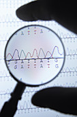 DNA Sequencing