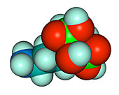 Molecular Model of Fosamax,illustration