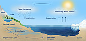 Water Cycle on Earth,illustration