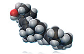 Vitamin D2,Molecular Model,illustration