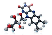 Vitamin B2,Molecular Model,illustration