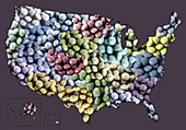 Overmedication in America,illustration