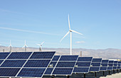 Solar Panels and Wind Turbines