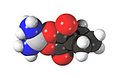 Carboplatin Molecular Model,illustration