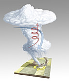 Formation of a Tornado,illustration