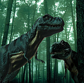 Tyrannosaurus Rex,illustration