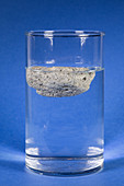 Floating Pumice