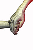 Big Hand,Little Hand,illustration