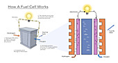 Fuel Cell,illustration