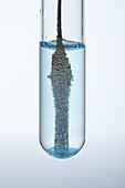 Copper Reacts with Silver Nitrate,4 of 6