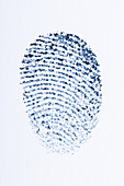 Fingerprint,illustration