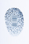 Digital Fingerprint,illustration