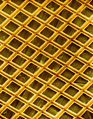 Gold electron micrograph grid