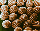 Butterfly Eggs,SEM