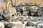 Limestone Rock Formations