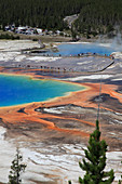 Grand Prismatic Spring