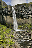Svartifoss Waterfall,Iceland