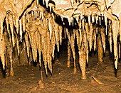 Stalactites Formation in Florida