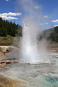 Imperial Geyser,Yellowstone NP