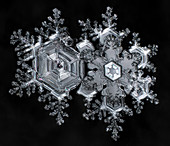 Two Snowflakes Fused