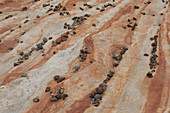 Sandstone and Rocks