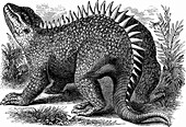 Hylaeosaurus,Cretaceous Dinosaur