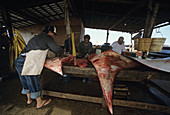 Fisherman butchers Manta ray