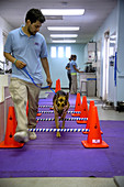 Veterinary Technician Leads Dog