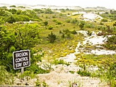 Preservation of the Dunes