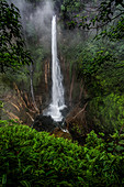 Catarata Del Toro Waterfall