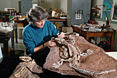 Palaeontologist with Fossil