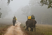 Forest Rangers in India