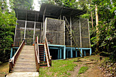 Orangutan Reintroduction Centre