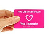 Organ donor card