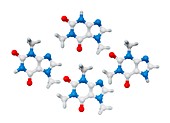 Methylxanthine stimulants,illustration