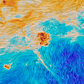 Magellanic Clouds magnetic field