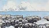 Fossilized stromatolites,illustration