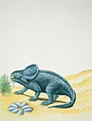 Side profile of a dinosaur,illustration