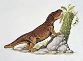 Scaphonyx eating leaves,illustration