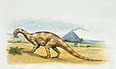 Thecodontosaurus eating,illustration