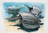 Two henodus swimming,illustration