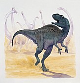 Yangchuanosaurus,illustration