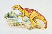 Gasosaurus,illustration