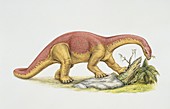 Kotasaurus eating plants,illustration