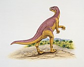 Xiaosaurus in the forest,illustration