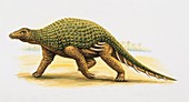 Silvisaurus dinosaur,illustration