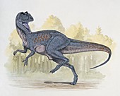 Chilantaisaurus dinosaur,illustration